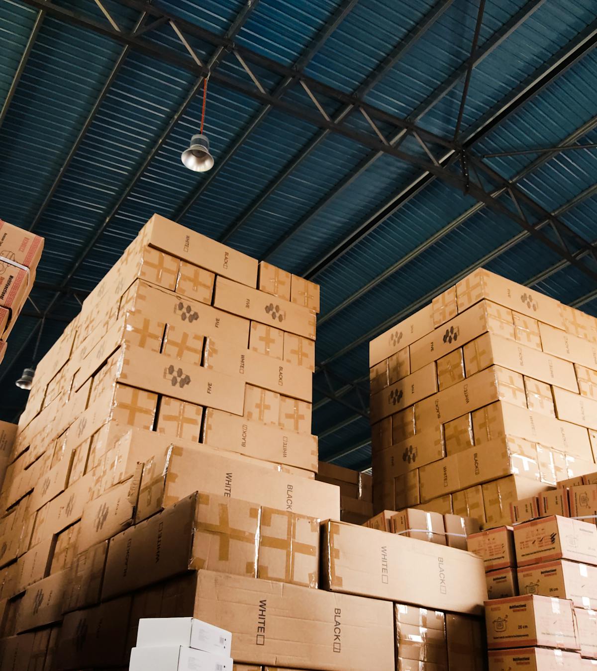 pexels-photo-10834810